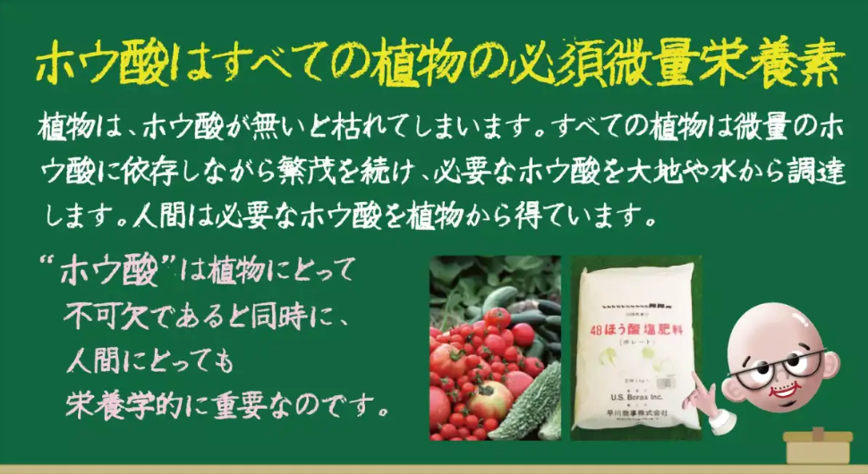 20230818171744-6449910957caf9c245daeb084859d4b32a28b59a.png